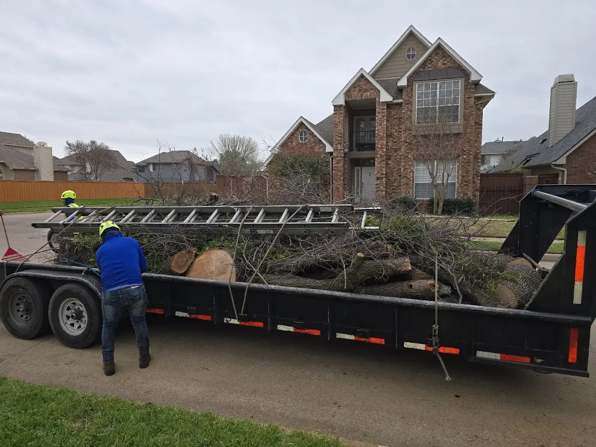 Expert Lot Clearing with proper safety equipment in Crockett